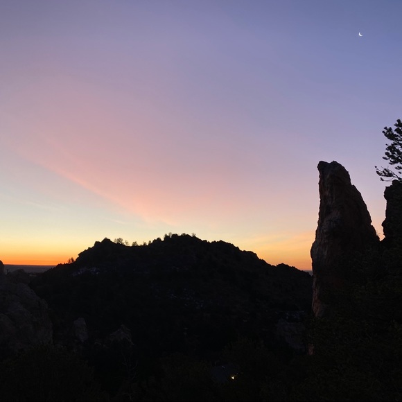 Meet your Posher, Alanis - Picture 4 of 4